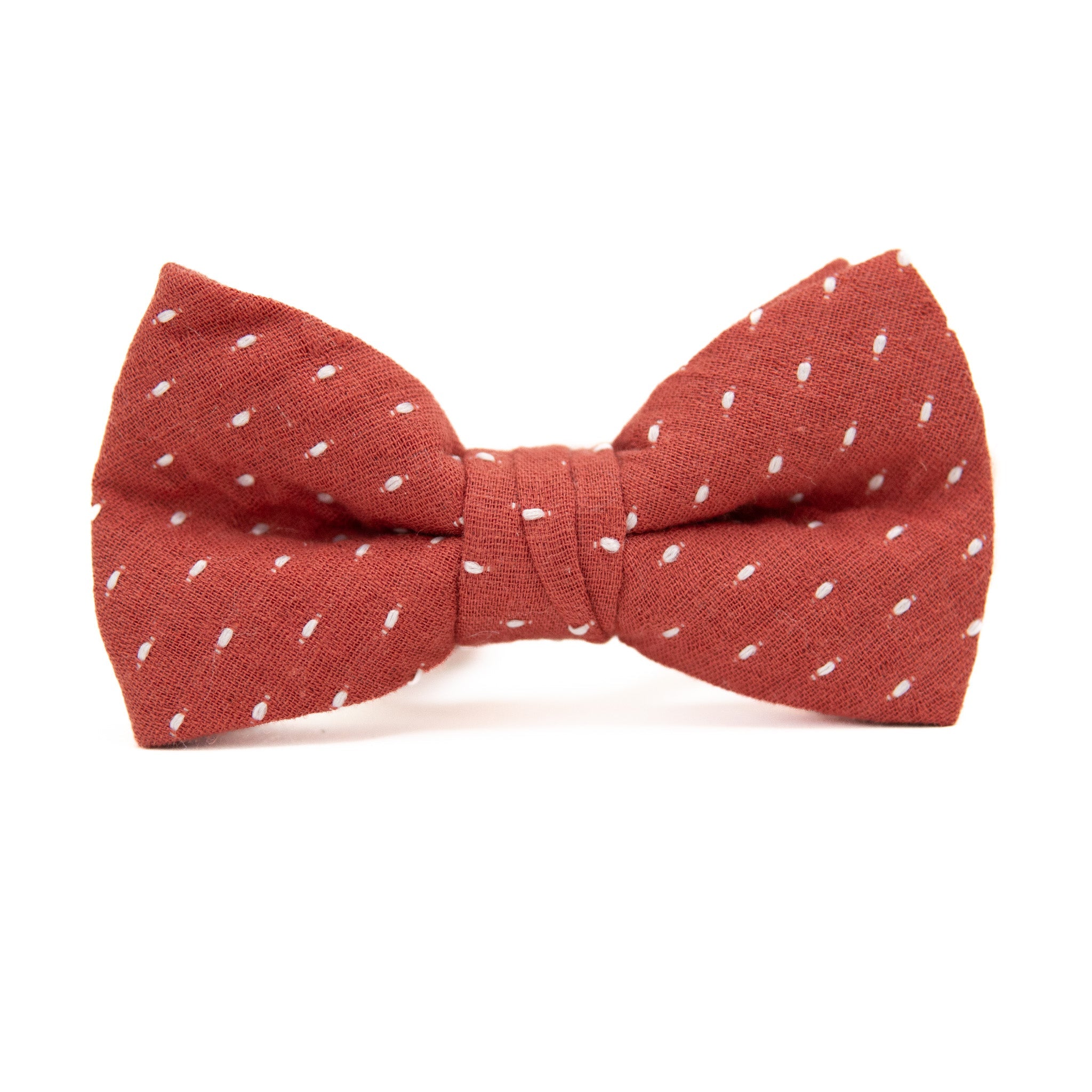 Apple Bow Tie for Boys