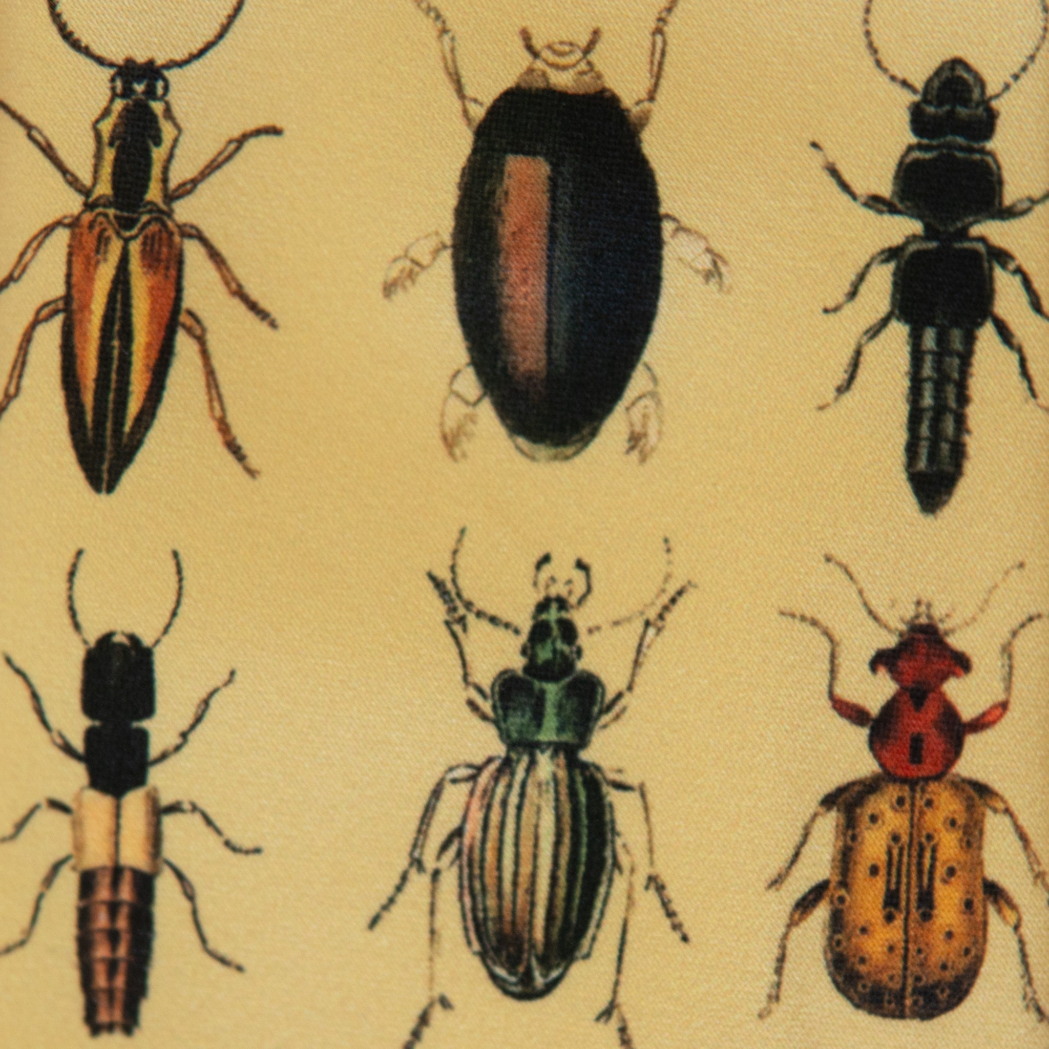 Bug Collection Boys Tie