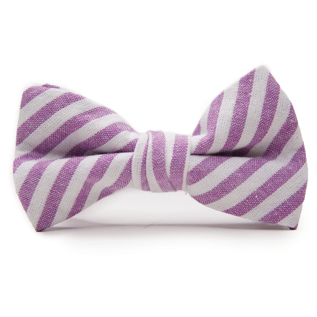 Iris Stripe - Bow Tie for Boys
