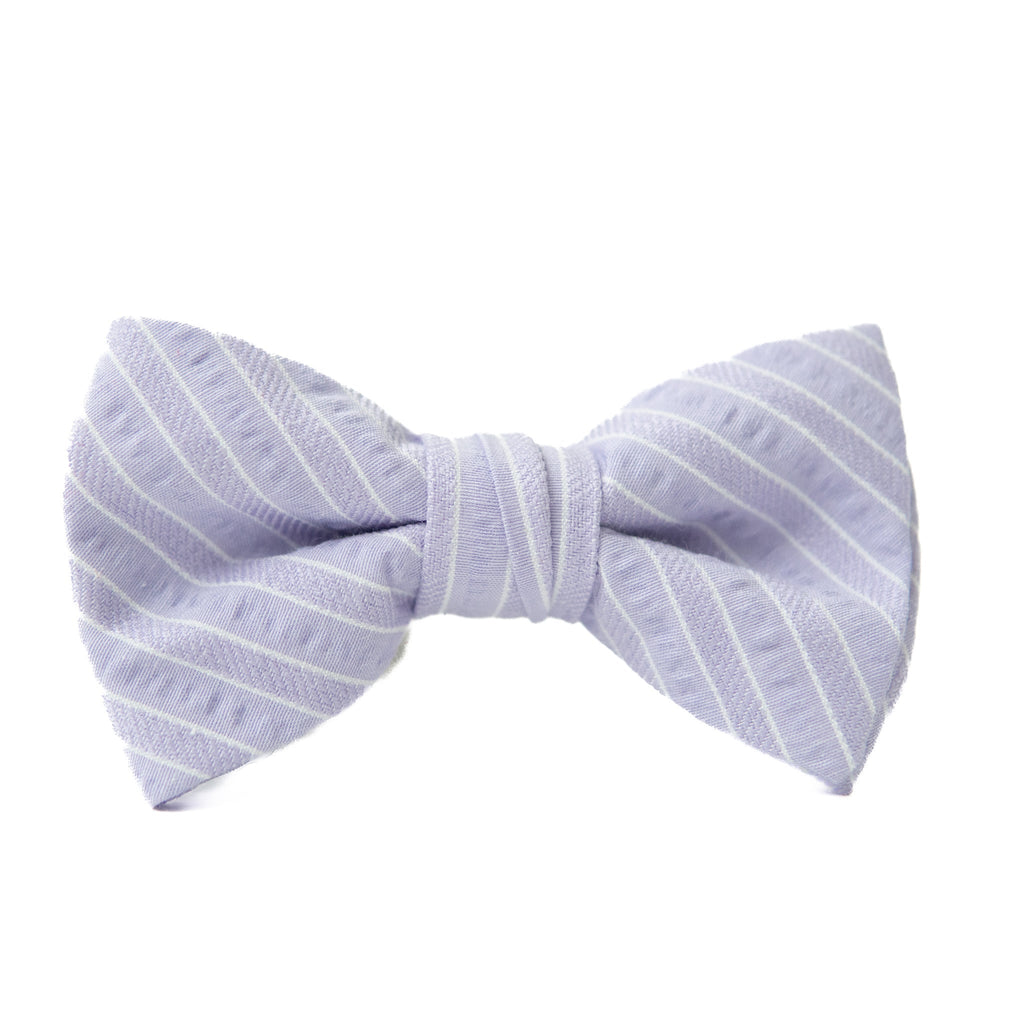 Lavender Bow Tie for Boys